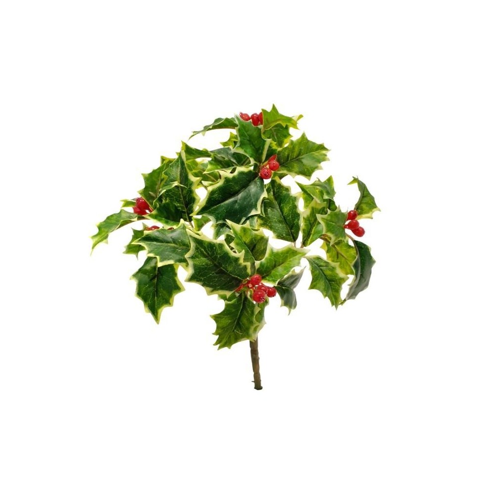 AGRIFOGLIO BUSH X48 10 BACCHE VARIEGATO 20CM.